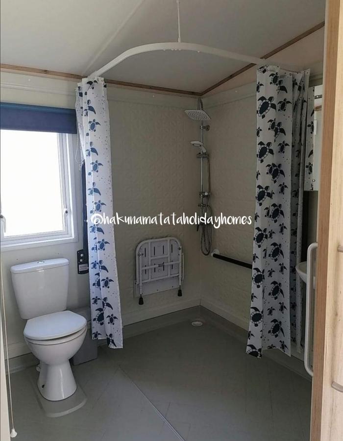 Hakuna Matata Holiday Home New Quay Kültér fotó