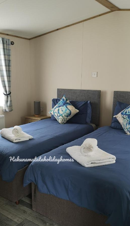 Hakuna Matata Holiday Home New Quay Kültér fotó