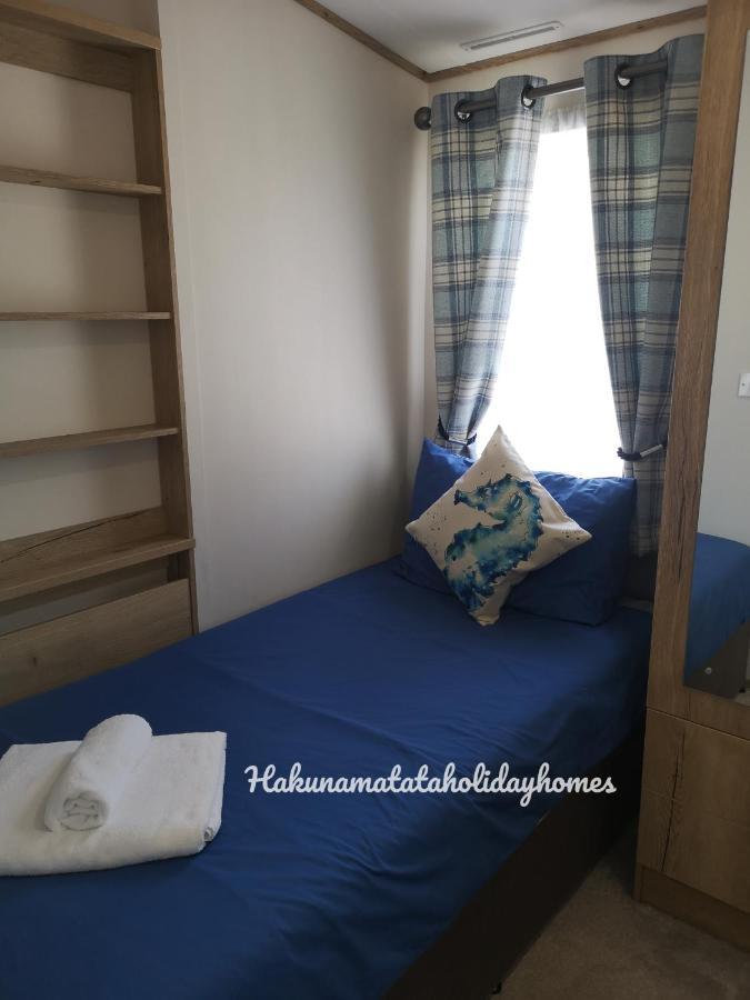 Hakuna Matata Holiday Home New Quay Kültér fotó