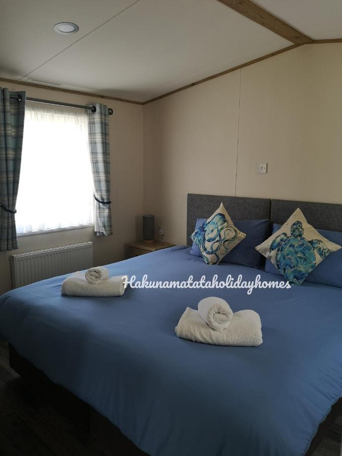 Hakuna Matata Holiday Home New Quay Kültér fotó